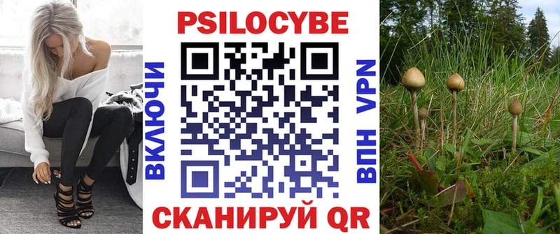 купить наркоту  Заринск  Галлюциногенные грибы прущие грибы 